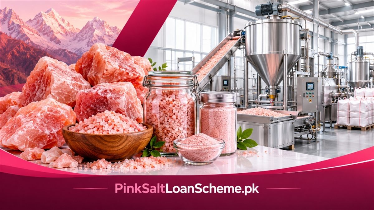 Pink Salt Processing Factory Banner - PinkSaltLoanScheme.pk